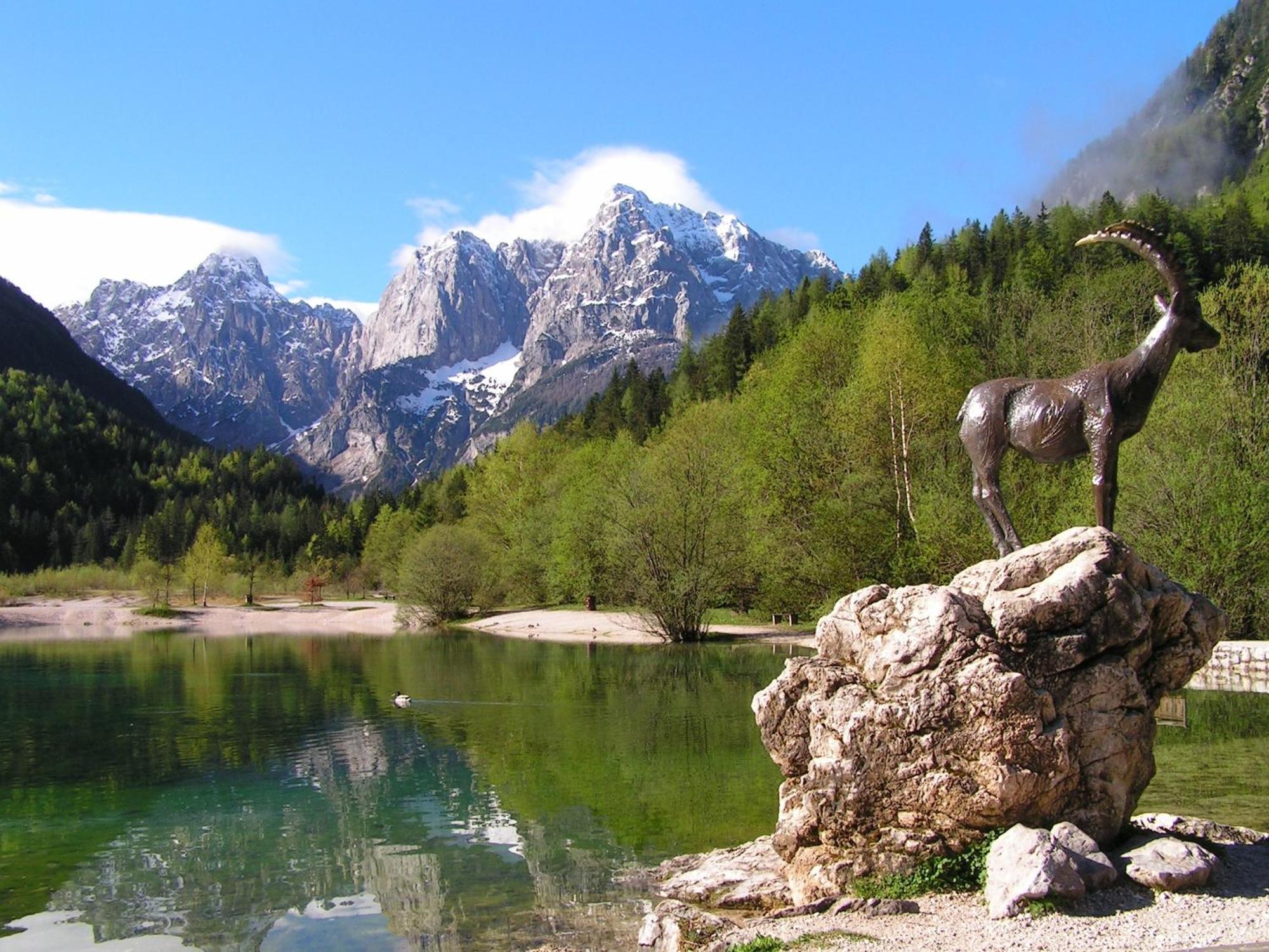 Tempfer 2 Apartments & Rooms With New Wellness Kranjska Gora Dış mekan fotoğraf