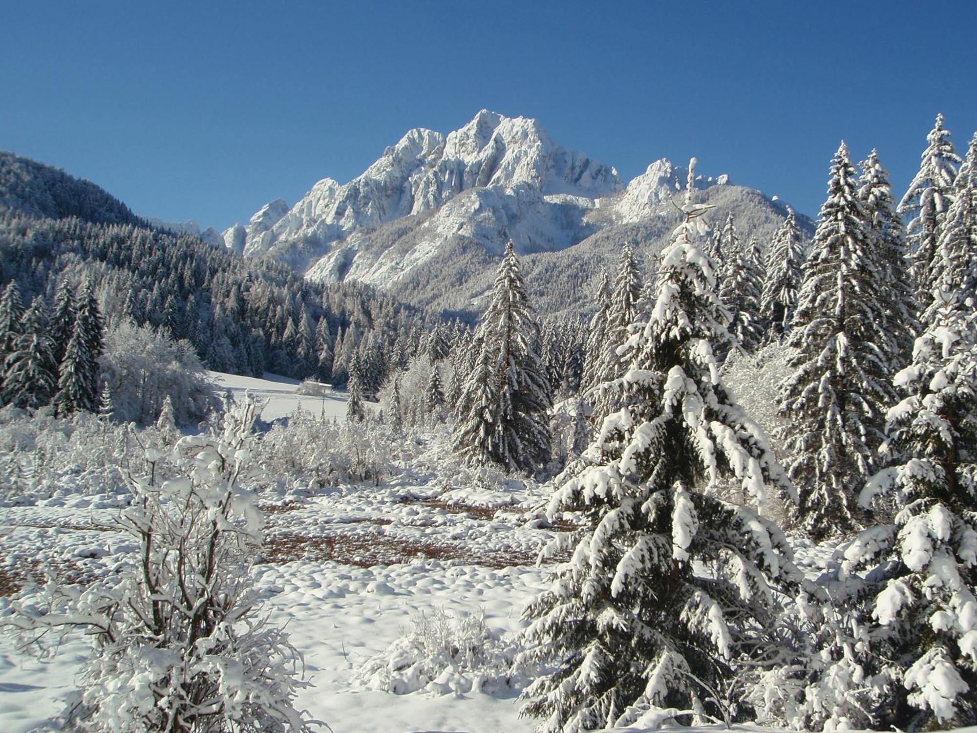 Tempfer 2 Apartments & Rooms With New Wellness Kranjska Gora Dış mekan fotoğraf
