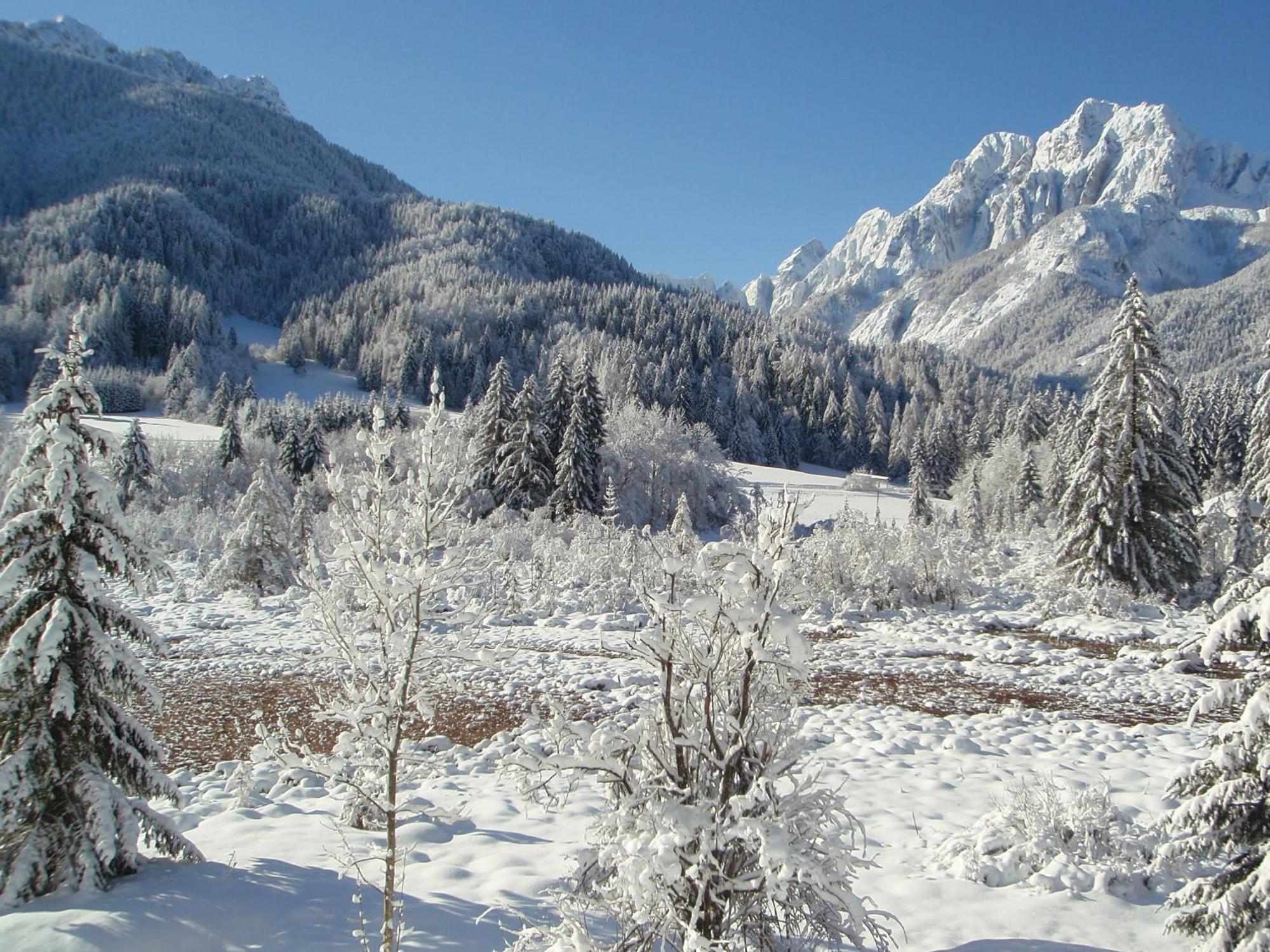 Tempfer 2 Apartments & Rooms With New Wellness Kranjska Gora Dış mekan fotoğraf
